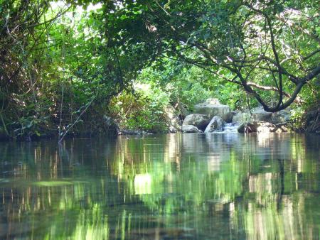 ma riviere...