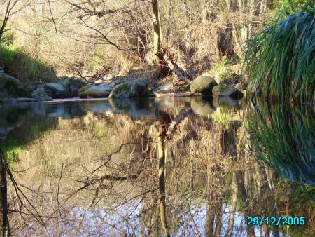 tel un miroir l'eau reflete notre monde...