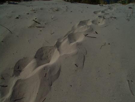 le sable est chaud